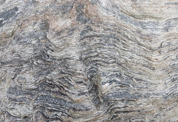 Échos d'océan, n°4