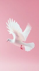 Fototapeta premium A graceful white dove with outstretched wings glides through a soft pink background, symbolizing peace and purity with ample copy space.
