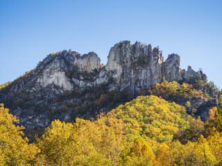 The jagged mountain top of Seneca Rocks, West Virginia, framed by trees in vibrant fall colors and...