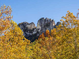 The jagged mountain top of Seneca Rocks, West Virginia, framed by trees in vibrant fall colors and...
