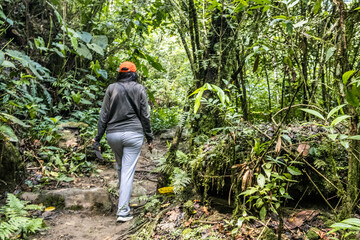 woman with cap walking in a forest with vegetation on vacation