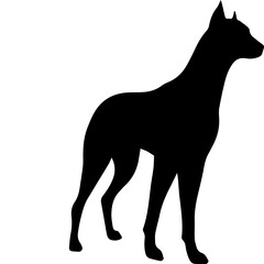 Vector black silhouette of a short-haired  hunting dog