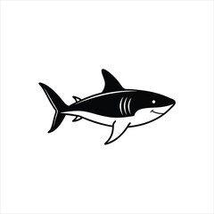Hand Drawn Shark Vector Silhouette with Marine Details