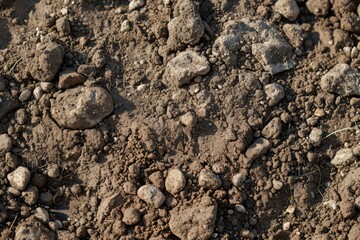 Image of Brown soil dirt surface. Texture for background usage