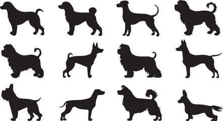 vector, isolated black silhouette of a dog, collection
