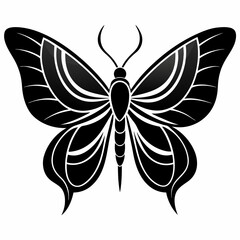 butterfly vector