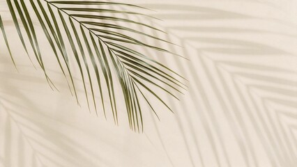 Obraz premium Fresh palm leaves on beige background 