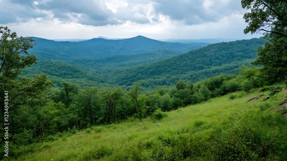Aufkleber Expansive Mountain Range with Dense Forest Under Cloudy Sky : Generative AI