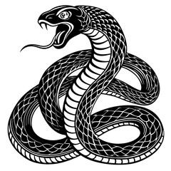 black and white snake