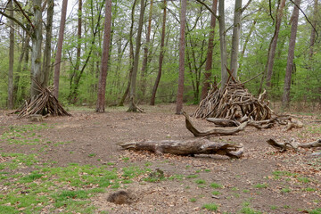 Aufgeschichtetes Totholz im Wald