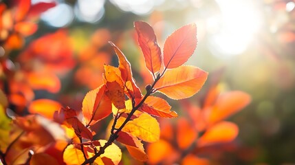 Fototapeta premium Bright Autumn Sunlight Filtering Through Vibrant Red Leaves in a Forest : Generative AI