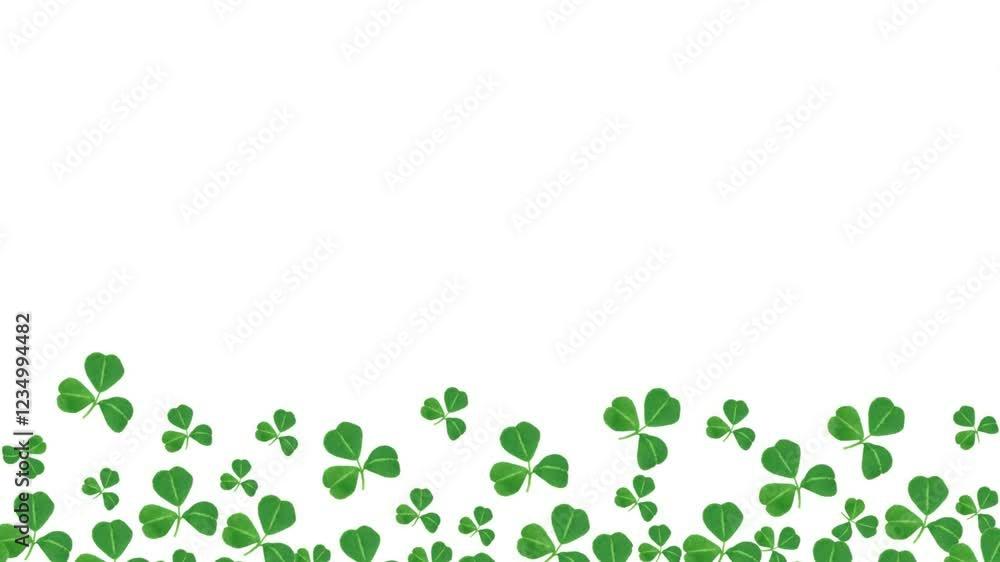Poster Stop motion St Patricks Day bottom border of dancing shamrocks over a white background