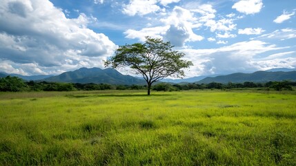 Fototapeta premium Expansive Green Meadow With Solitary Tree Against Majestic Mountainous Horizon : Generative AI