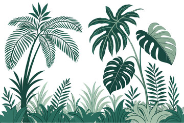  Tropical plants, lush foliage, botanical garden, tropical leaves, ferns, monstera, palm fronds, exotic greenery, jungle flora, dense vegetation, varied leaf shapes, natural arrangement, vibrant green