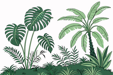  Tropical plants, lush foliage, botanical garden, tropical leaves, ferns, monstera, palm fronds, exotic greenery, jungle flora, dense vegetation, varied leaf shapes, natural arrangement, vibrant green