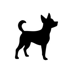 Black standing chihuahua dog silhouette icon flat vector illustration design.