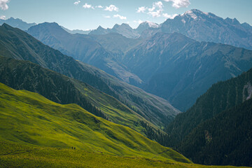 Landscape of lush green grass hills with a view of Tianshan Mountains, Xinjiang, China. There are many pine trees and two people are trekking on a sunny day. Feeling free, fresh, and peaceful.