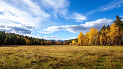 Vast Open Field with Vibrant Autumn Trees Under a Clear Blue Sky : Generative AI