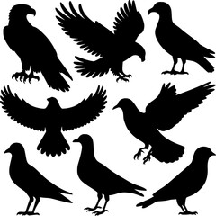 Black Silhouette Collection of Various Birds and Penguin