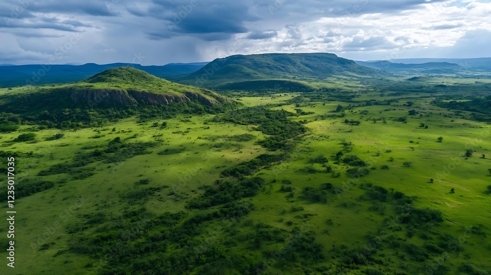 Poster Scenic Aerial View of Green Savannah Landscape with Rolling Hills on Cloudy Day : Generative AI