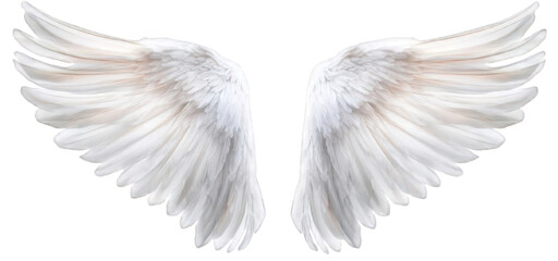 Graceful Floating White Wings, Holy and Serene Ethereal Feathers. Isolated, On Transparent Background