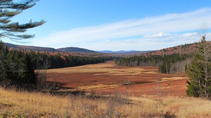 Obraz premium Autumnal valley vista showcasing vibrant fall foliage and meadows