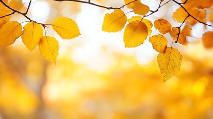 Obraz premium Golden Autumn Leaves Closeup Against Soft Focus Sky Background : Generative AI