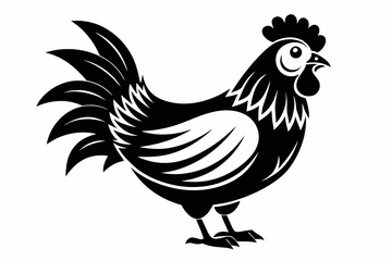 rooster isolated on white background