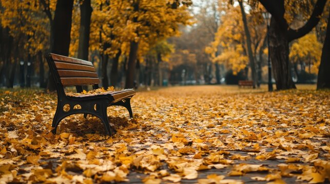 Beautiful autumn park with a wooden bench surrounded by colorful fallen leaves in golden sunlight