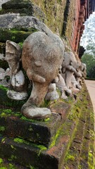 Elevantes carvados en roca en un templo budista en la sagrada ciudad antigua de Pollonnaruwa, Sri Lanka