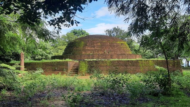 Vista de una estupa antigua cubierta por vegetacion dentro de la sagrada ciudad de Pollonnaruwa, Sri Lanka