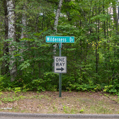 Metal signs on the boulevard of a tree lined street at an intersection.
