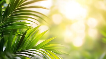 Obraz premium Tropical Palm Leaves With Bright Sunlight Creating a Natural Green Background : Generative AI