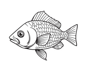 Black and white line art illustration of a fish under strong hard light, illustration vector.