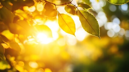 Obraz premium Sunlit Green Leaves in Golden Hour Nature Background : Generative AI