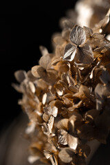 christmas decoration on black