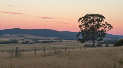 Obraz premium Peaceful Sunset Over Rolling Hills and Lone Tree