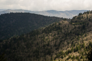 Misty Mountain Layers in the Smoky Mountains National Par