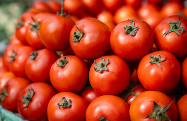 Tomatoes displayed for sell in a market