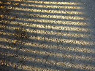 shadow on asphalt with vertical stripes