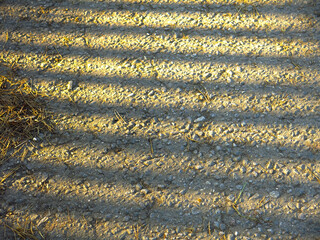 Obraz premium shadow on asphalt with vertical stripes