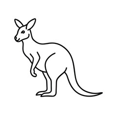 Kangaroo Line Art Vector Illustration and Kangaroo Outline Drawing Vector Design