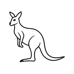 Kangaroo Line Art Vector Illustration and Kangaroo Outline Drawing Vector Design