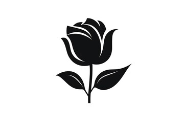 Obraz premium a black and white image of a single flower with leaves