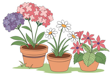 Colorful potted flowers, vibrant floral arrangement, assorted blooming plants, terracotta and ceramic pots, hydrangeas, daisies, petunias, impatiens, indoor gardening, spring colors, botanical variety