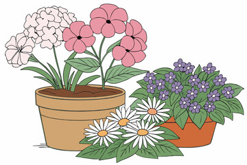 Colorful potted flowers, vibrant floral arrangement, assorted blooming plants, terracotta and ceramic pots, hydrangeas, daisies, petunias, impatiens, indoor gardening, spring colors, botanical variety