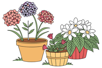 Colorful potted flowers, vibrant floral arrangement, assorted blooming plants, terracotta and ceramic pots, hydrangeas, daisies, petunias, impatiens, indoor gardening, spring colors, botanical variety