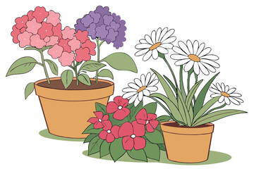 Colorful potted flowers, vibrant floral arrangement, assorted blooming plants, terracotta and ceramic pots, hydrangeas, daisies, petunias, impatiens, indoor gardening, spring colors, botanical variety
