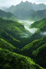 Fototapeta premium Lush green valleys shrouded in mist during early morning