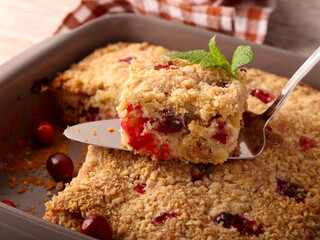 Cranberry streusel cake